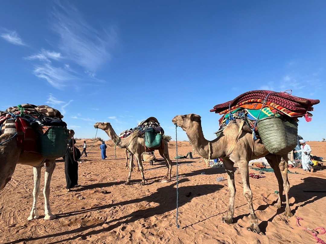 Yoga Connexion-La Bernerie-en-Retz必去景点