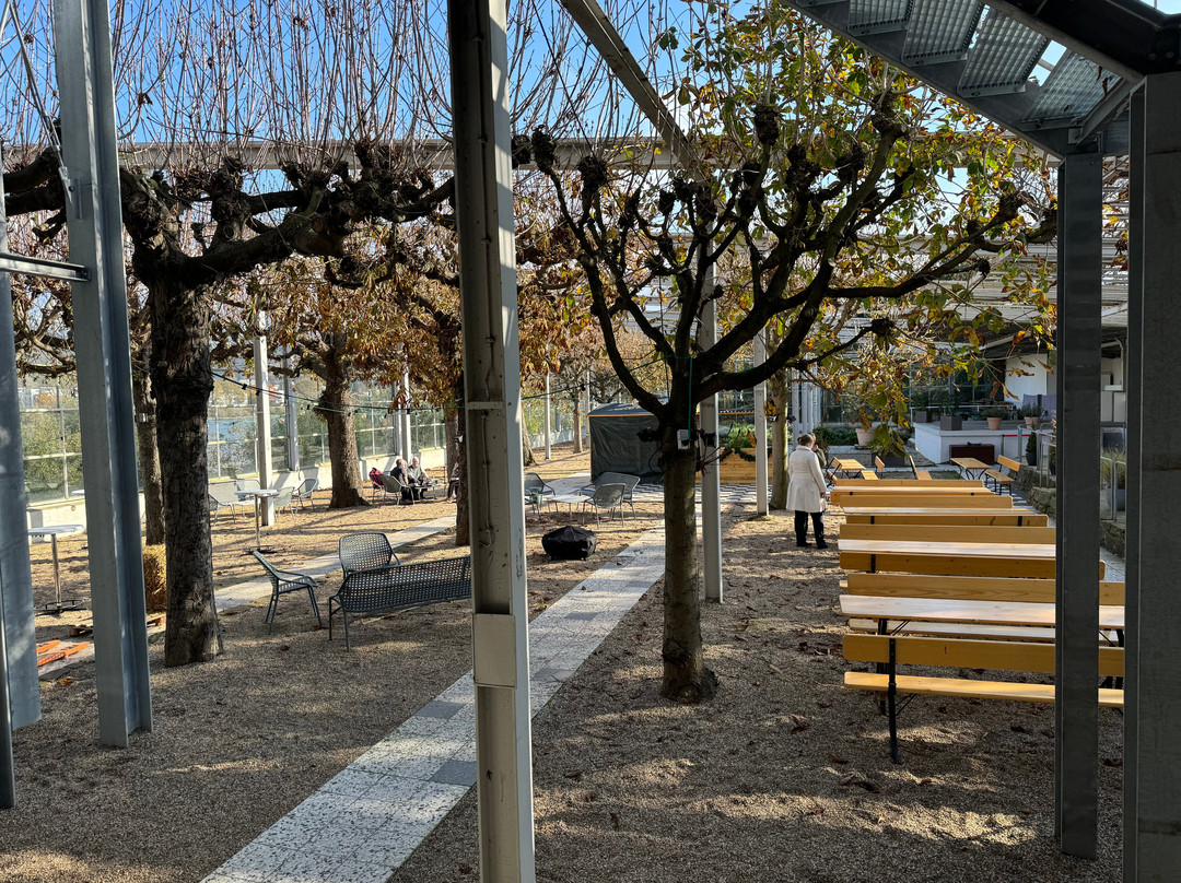 Rhein-Hotel Bacharach主图