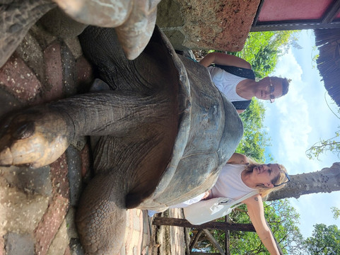 Bohora Tours-桑给巴尔岛必去景点