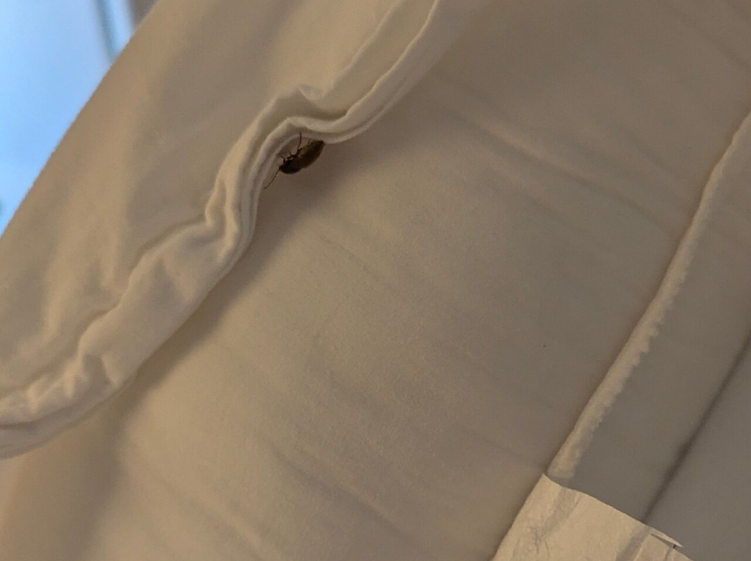 Nanny Cay Resort Marina主图