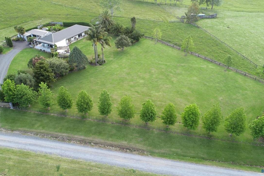Rural Palms