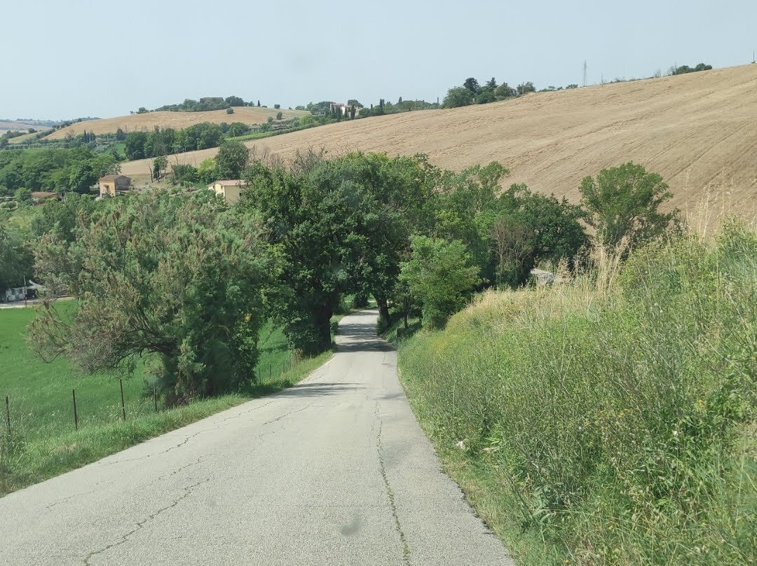 Santuario Madonna Delle Grazie-Monte Giberto必去景点