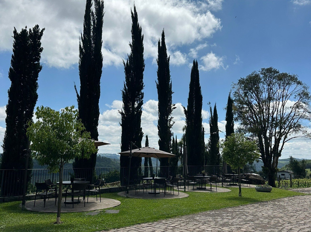 Vinícola Valmarino景点图片
