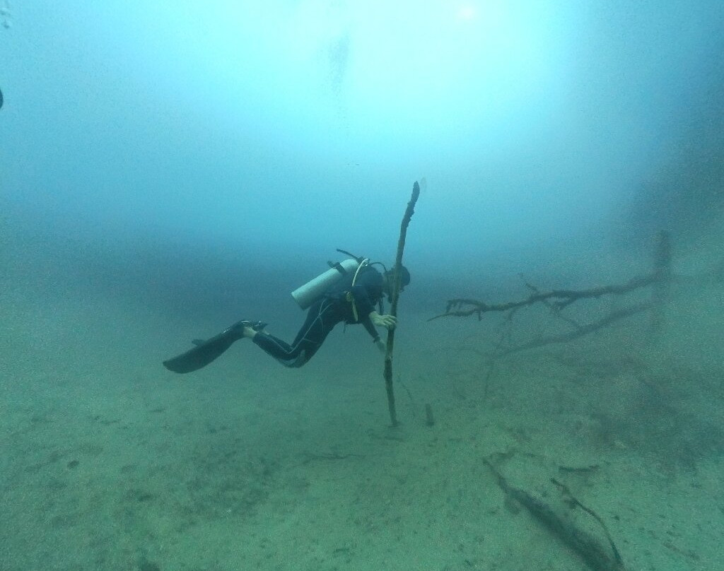 Coron Sanho Dive Center景点图片