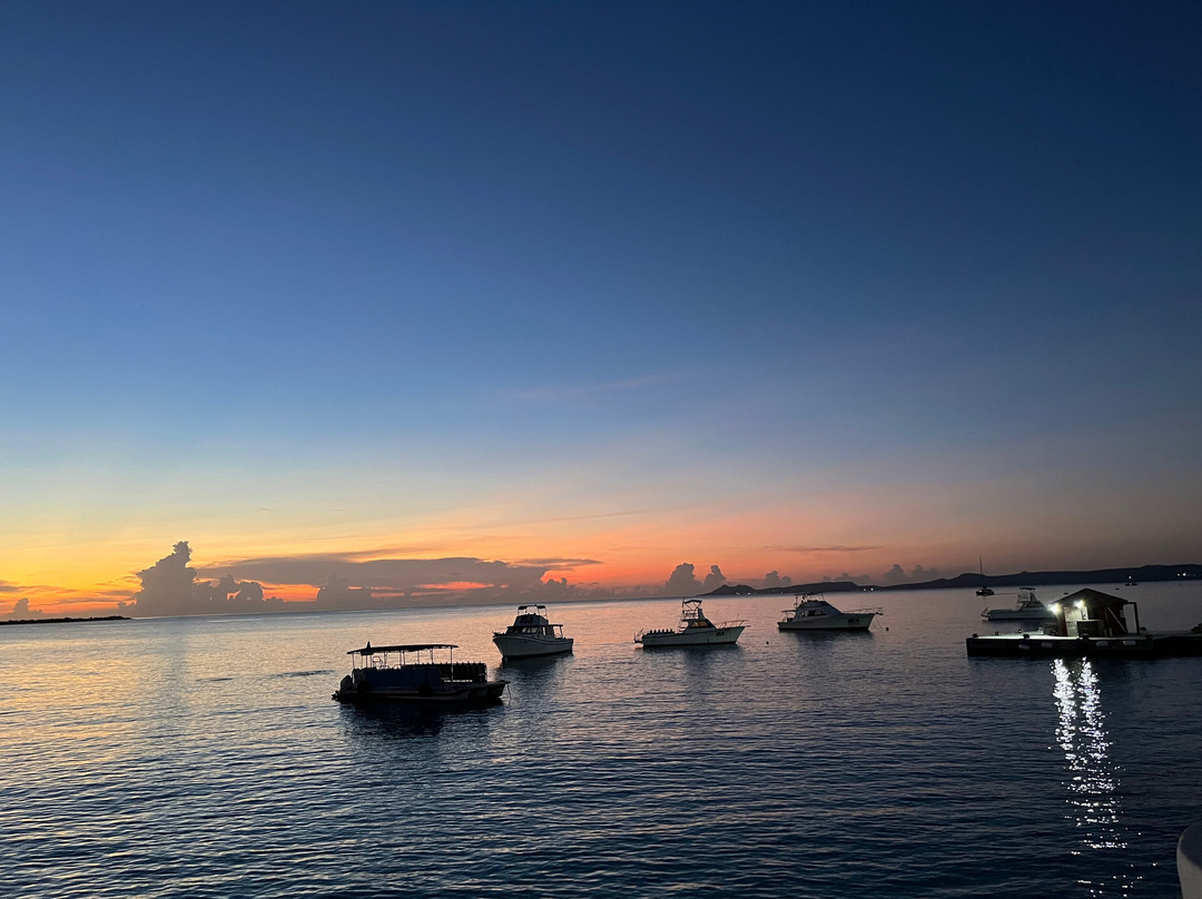 Captain Don's Habitat主图