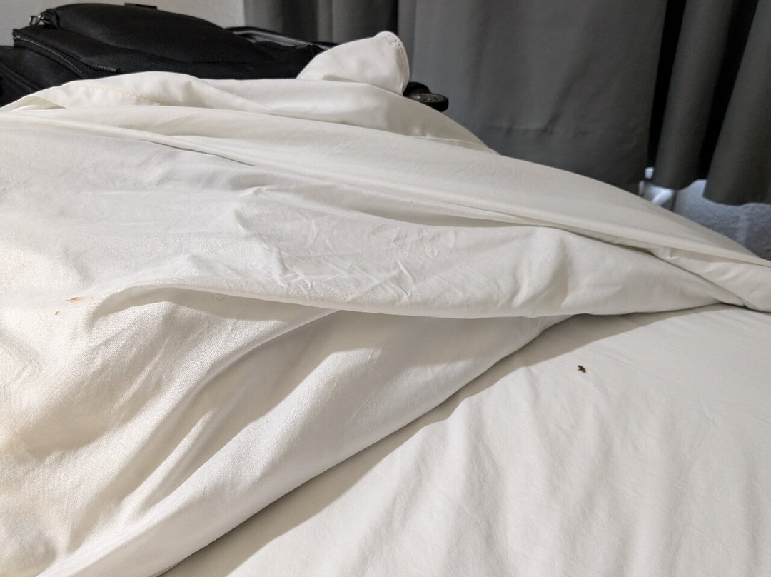 OYO Townhouse Clute Lake Jackson主图