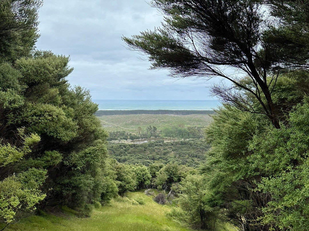 4Track Adventures-奥克兰中心地区必去景点