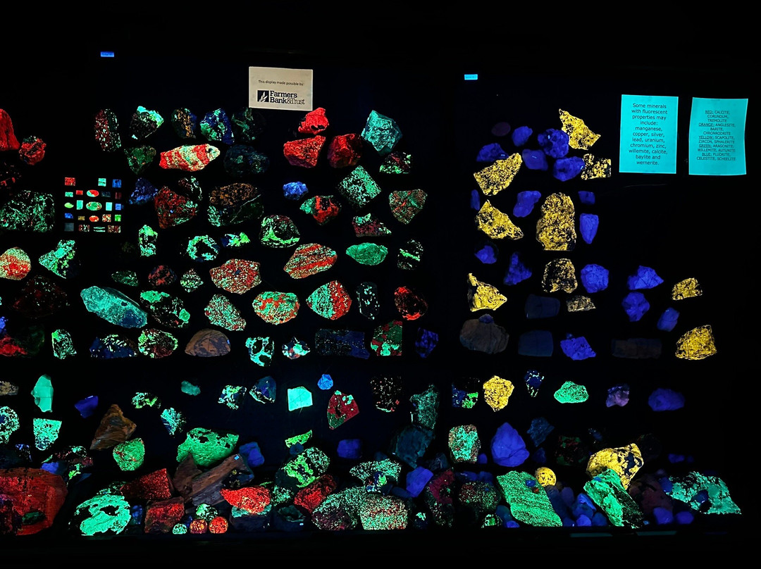 Ben E. Clement Mineral Museum景点图片