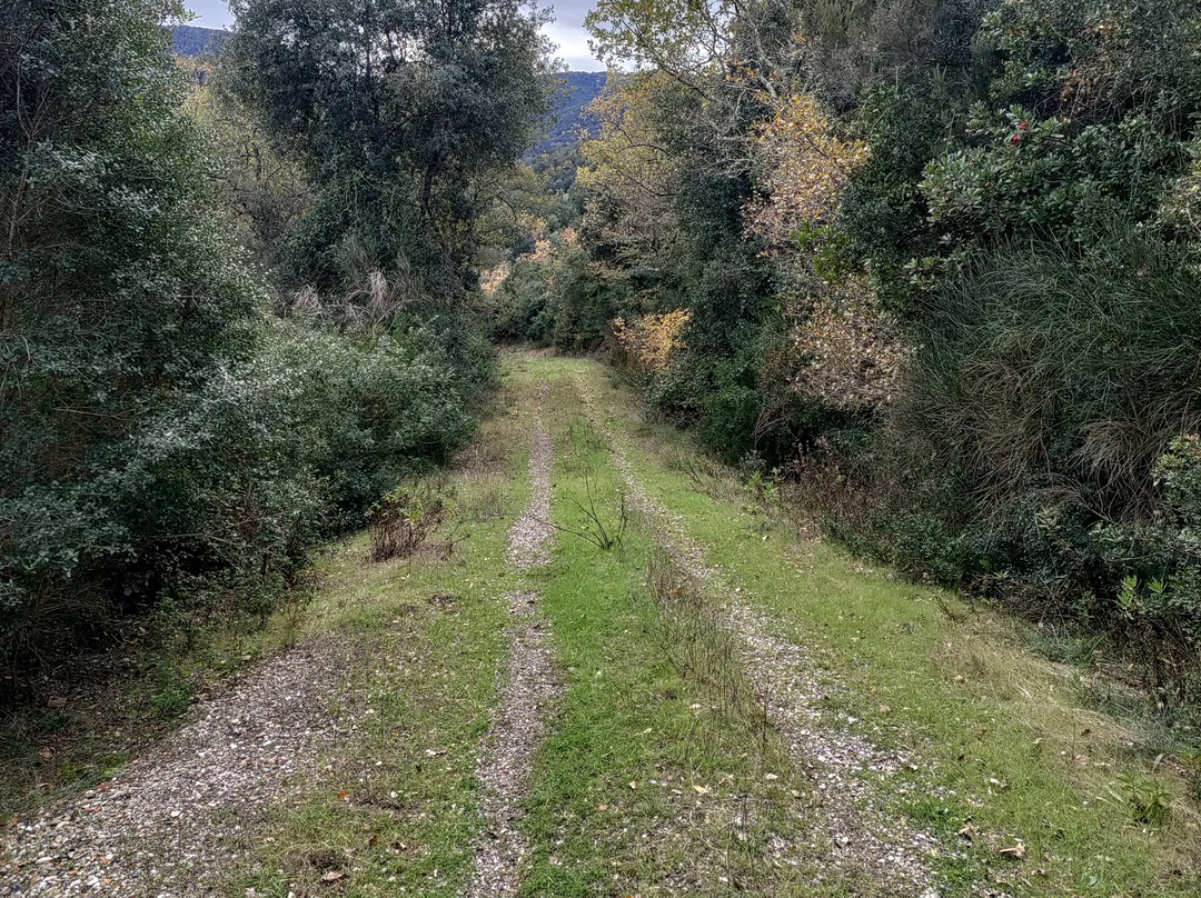 Sorgente ipotermale Bollori e Putizza-Gambassi Terme必去景点