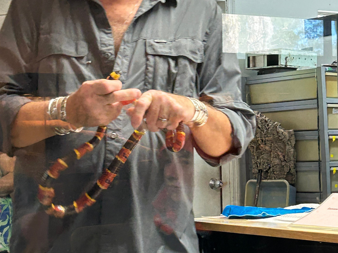 Reptile Discovery Center-迪兰必去景点