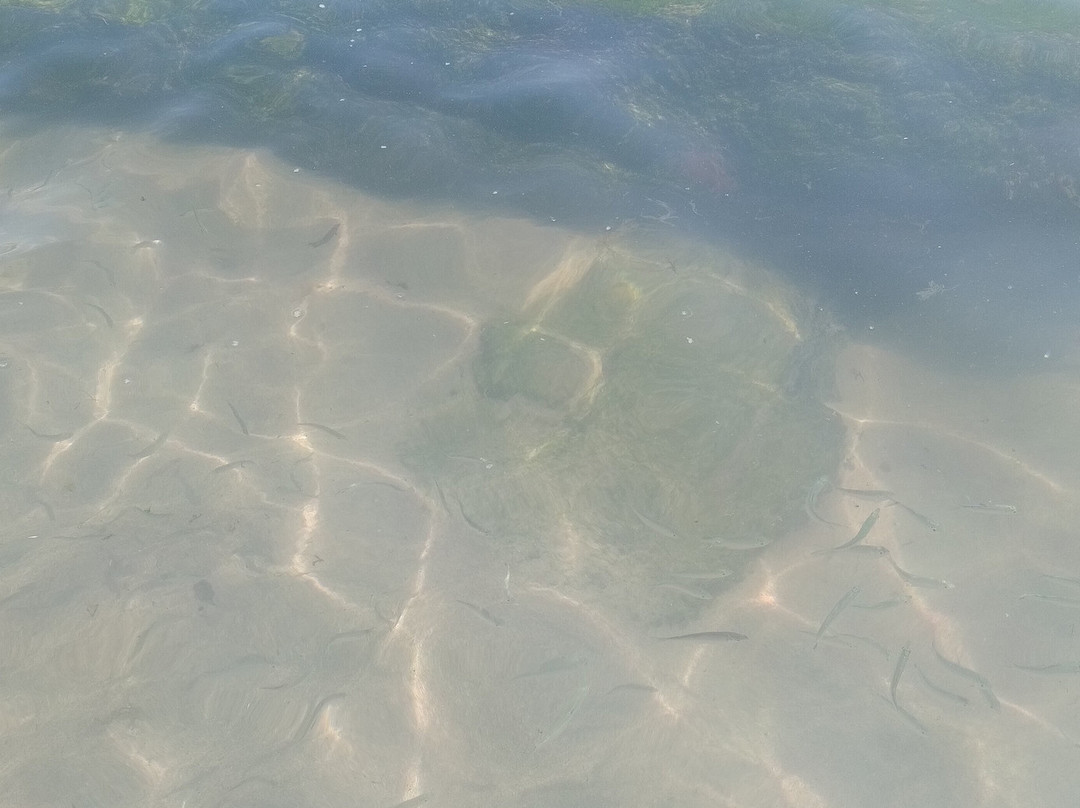 Forno Beach-布基亚斯必去景点