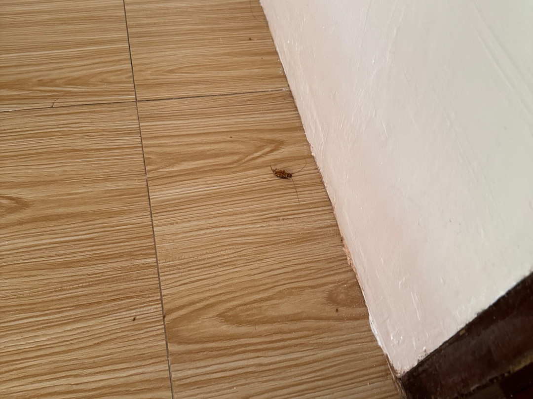 Siargao Latitude 10主图