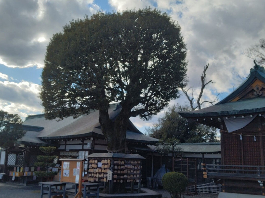 Ashikaga Orihime Jinjya-足利市必去景点