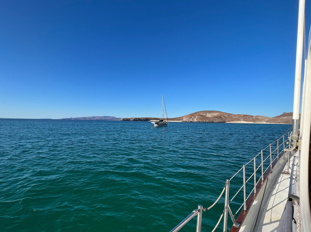 Island Adventure Charters-拉巴斯必去景点
