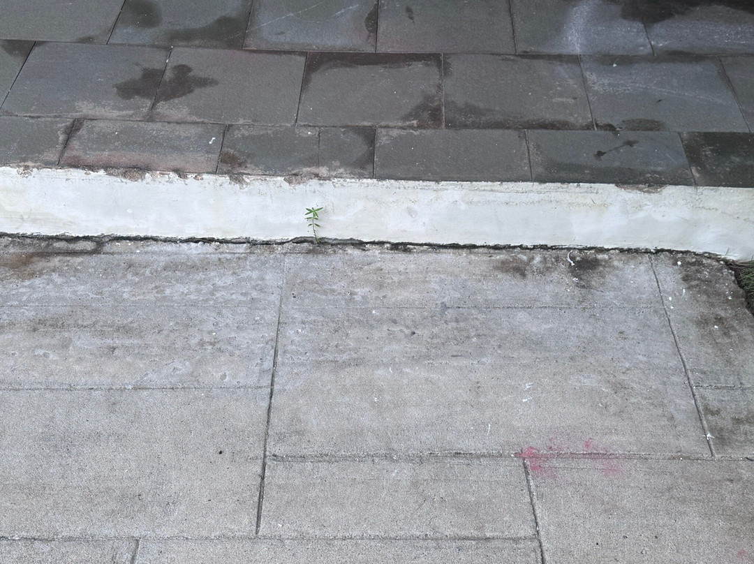 Robinson Nam Hoi An主图