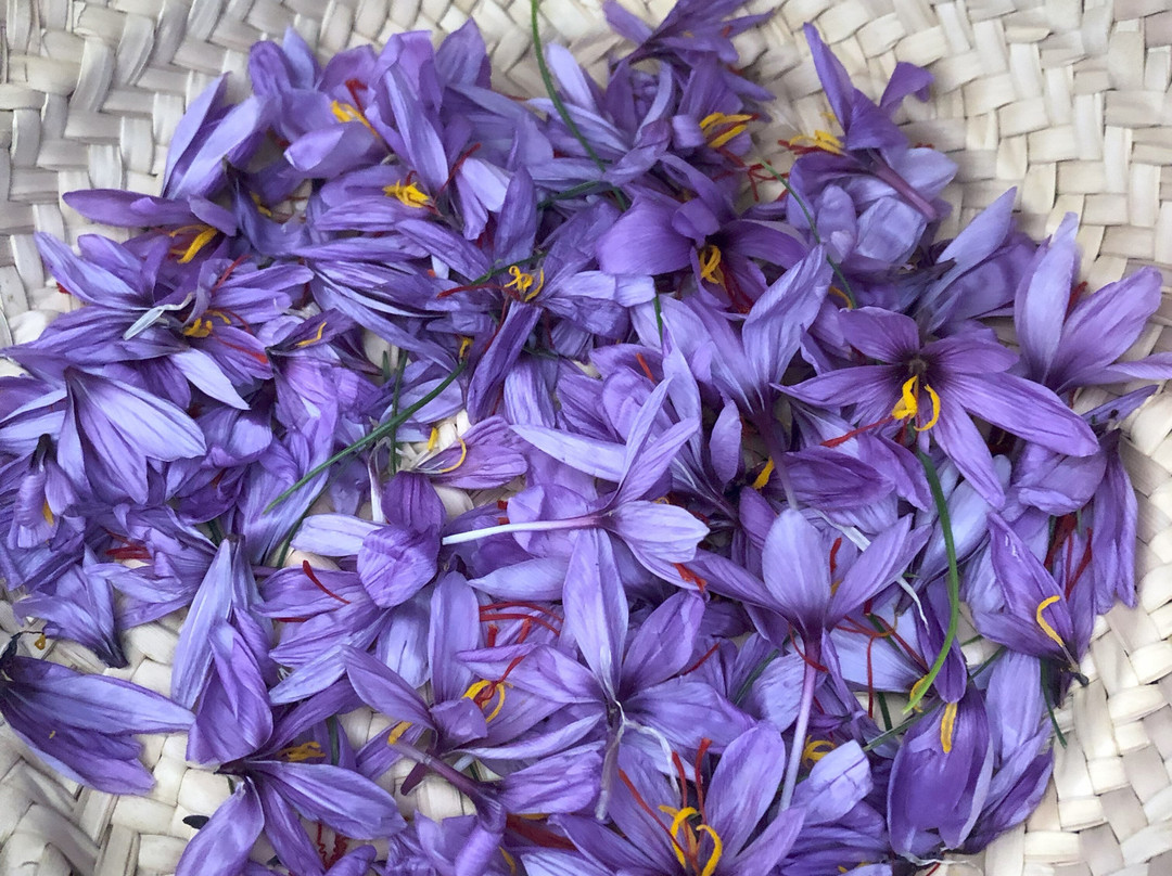 Maison du Safran-Taliouine必去景点