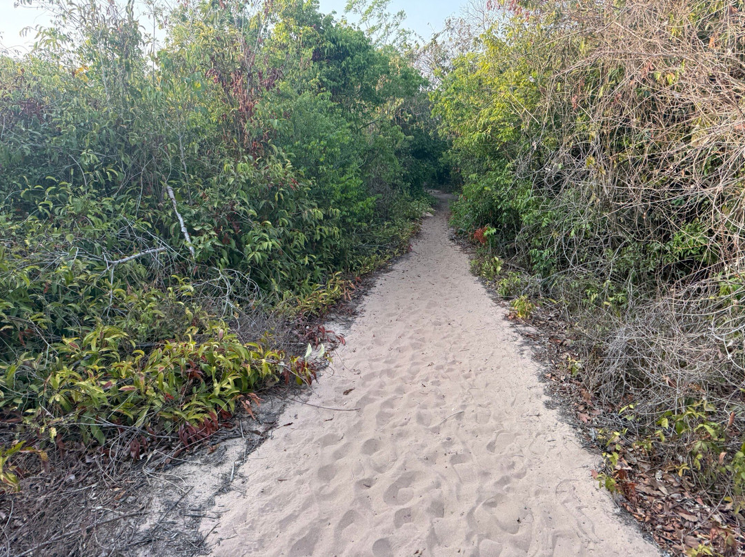 Serra da Piraoca-Alter do Chao必去景点