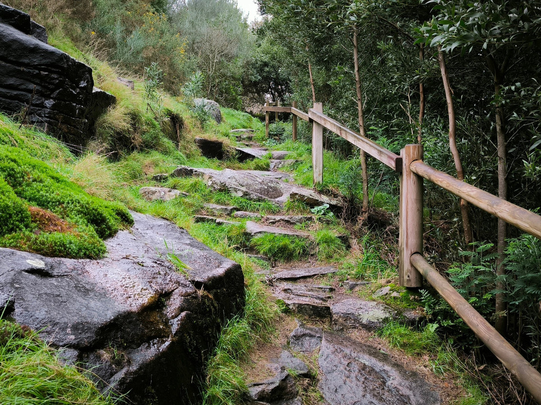 Caldeiras Do Rio Castro景点图片