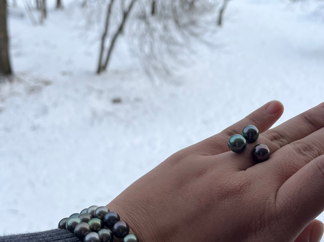 Hokahei Pearl Tahiti Sarl-帕皮提必去景点