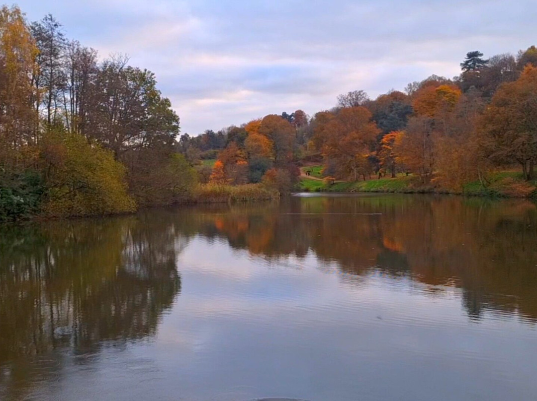 Winkworth Arboretum景点图片