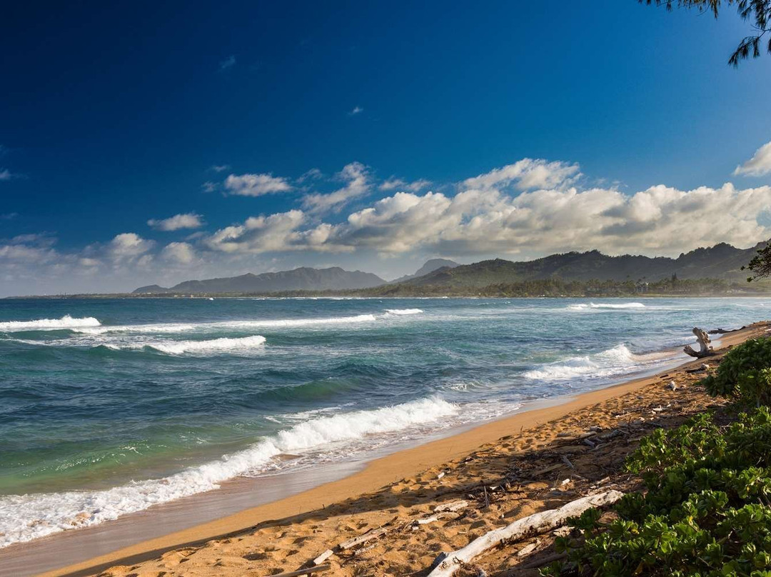 海滩雅诗顿艾兰德酒店主图