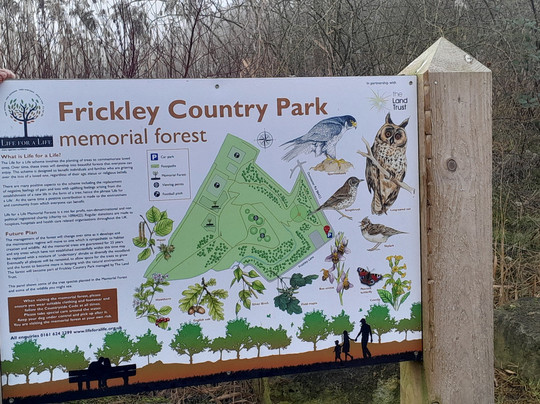 Frickley Country Park
