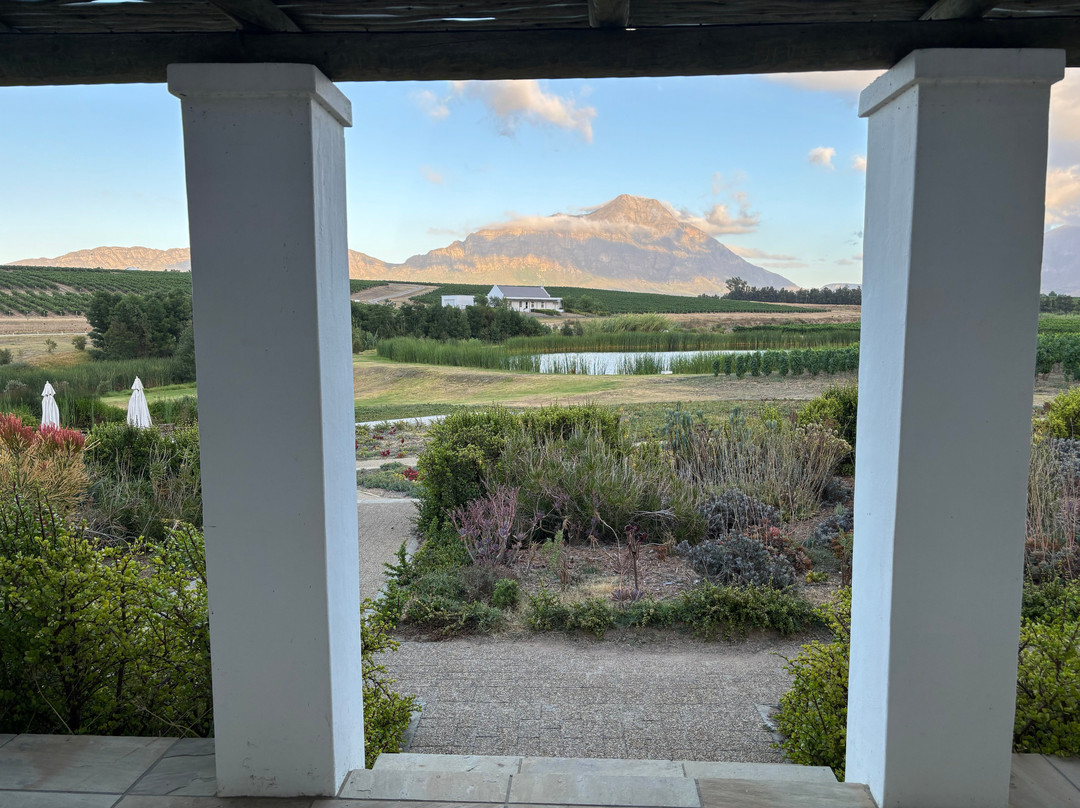 Rijk's Wine Estate景点图片