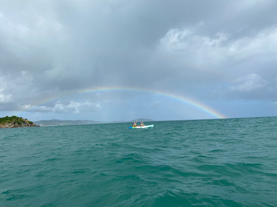 Barefoot Travelers Kayak Tour to Monkey Island景点图片