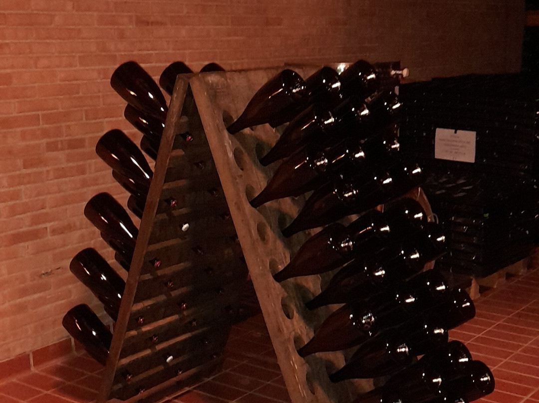 Franciacorta Tour景点图片