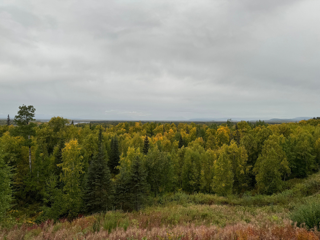 塔尔基特纳阿拉斯加旅舍酒店主图