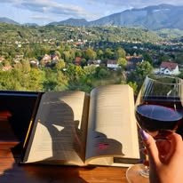 布兰酒店住宿-Vila Transylvanian Inn