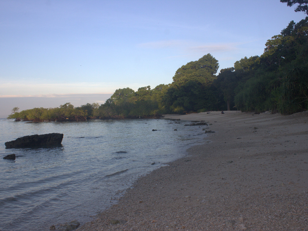 Silver Sand Beach Resort Neil主图