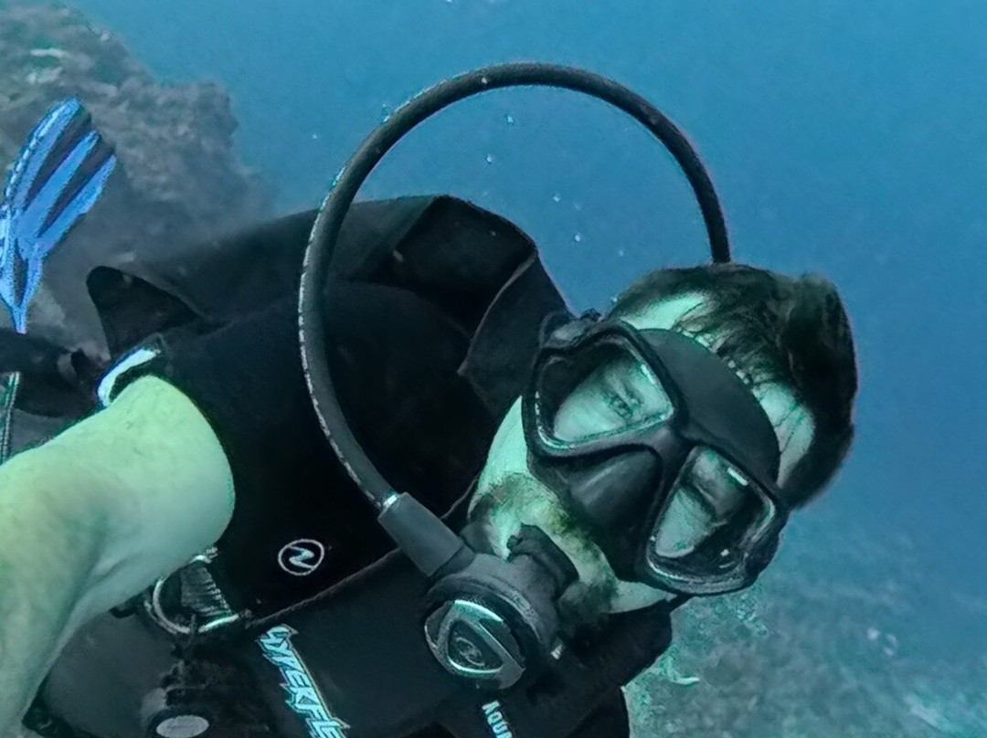 文图拉潜水中心-岛印必去景点