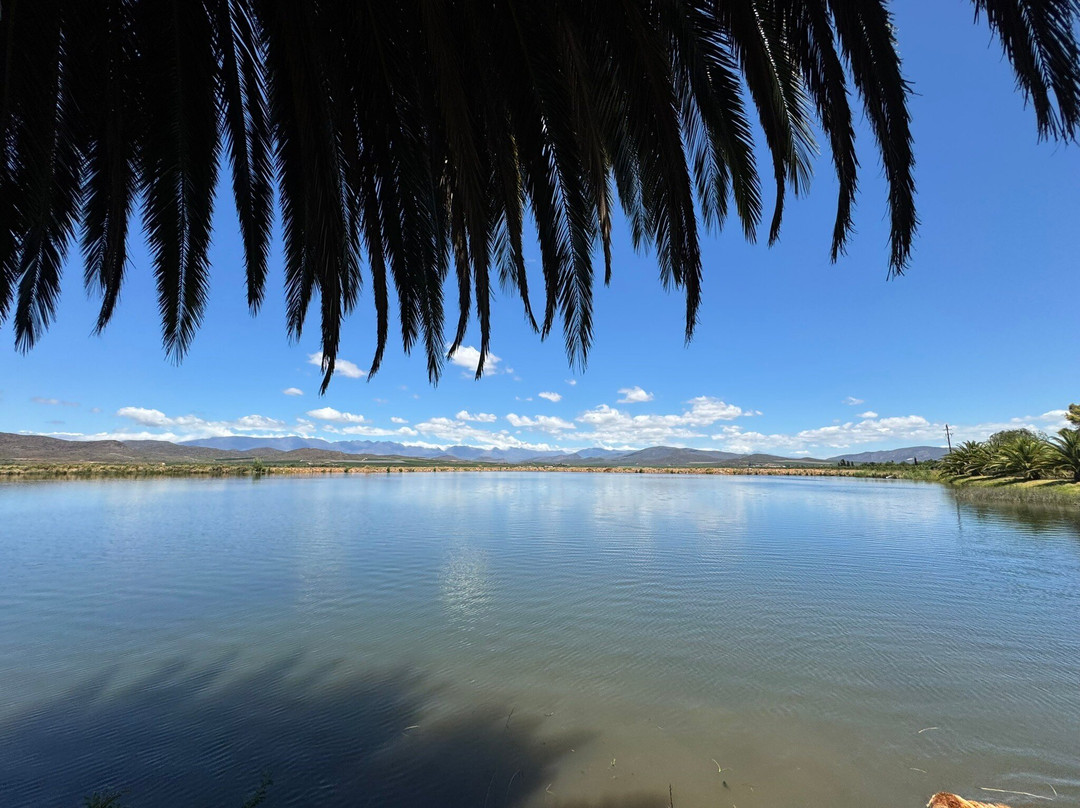 Springfield Estate Winery-Robertson必去景点