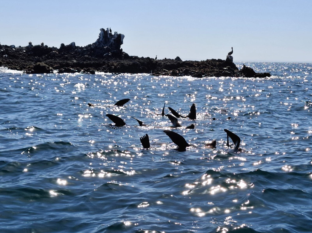 A day in baja-拉巴斯必去景点