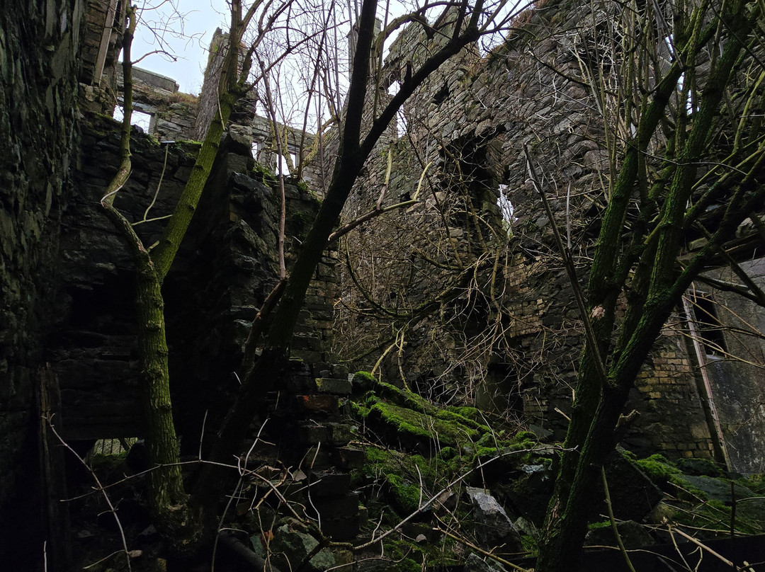 Kenmure Castle景点图片