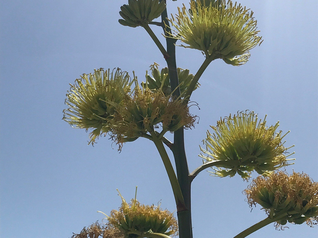 Hawiyat Najm Park (Sink Hole)-Qurayyat必去景点
