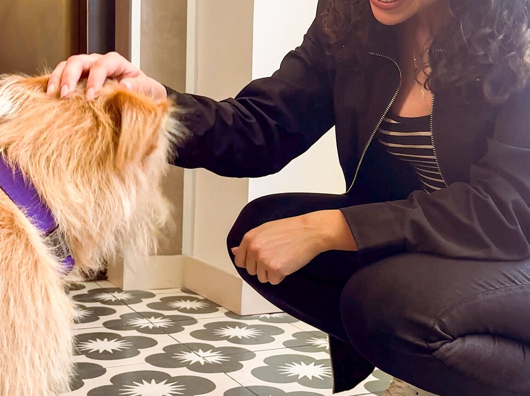 La Quinta by Wyndham Quito主图