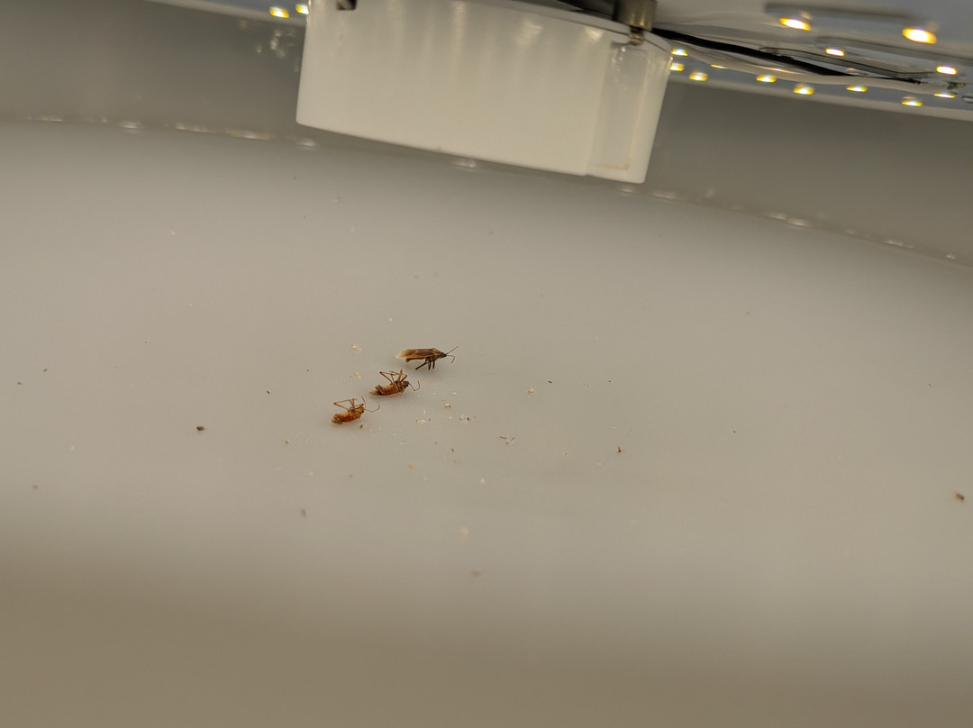 AmericInn by Wyndham Inver Grove Heights Minneapolis主图