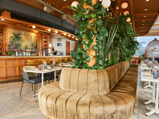 Botanica - Kitchen & Gin Bar主图