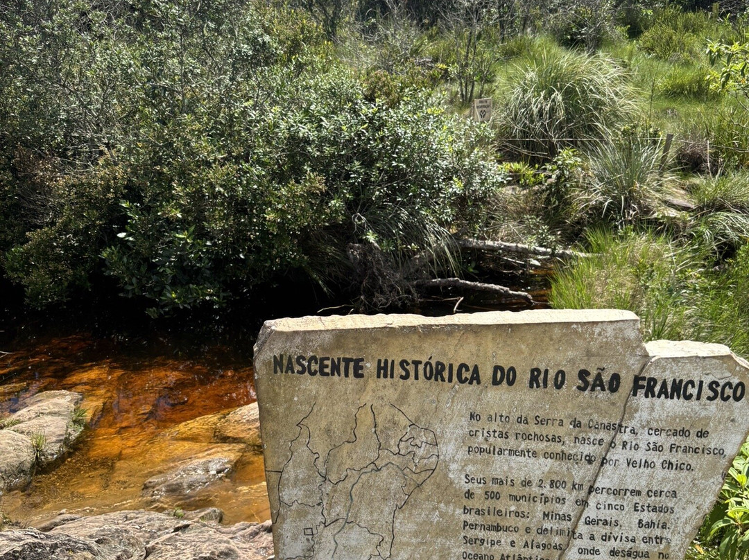 Rio São Francisco Spring景点图片