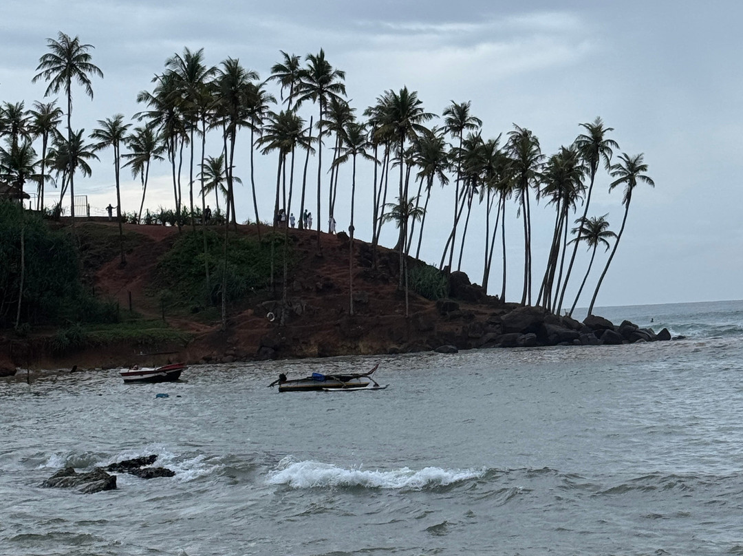 Sri Lanka driver booking & tours plc-Nawalapitiya必去景点