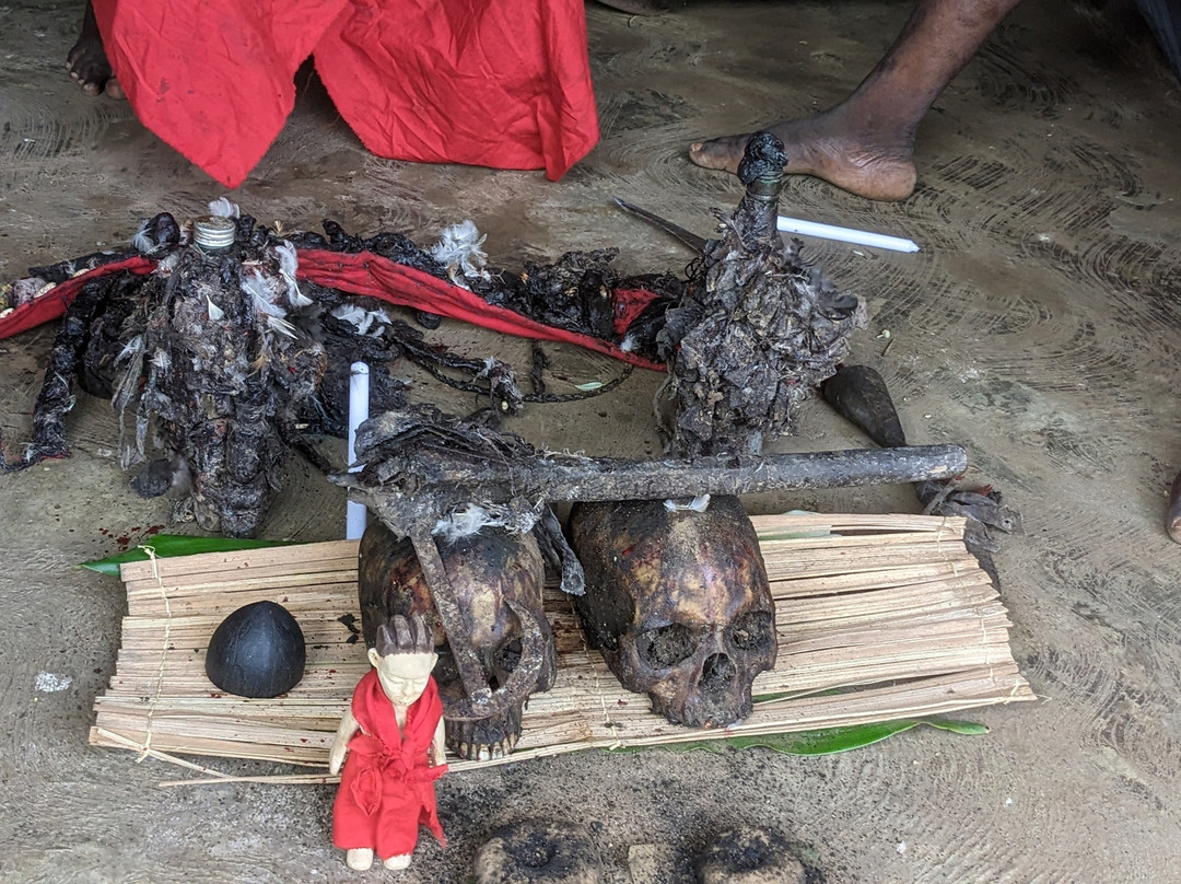 WestA Tour-Ouidah必去景点