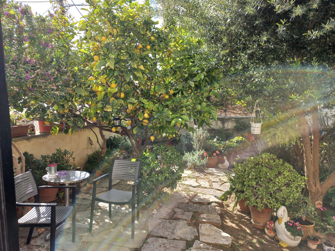 Antouanetta Apartments主图