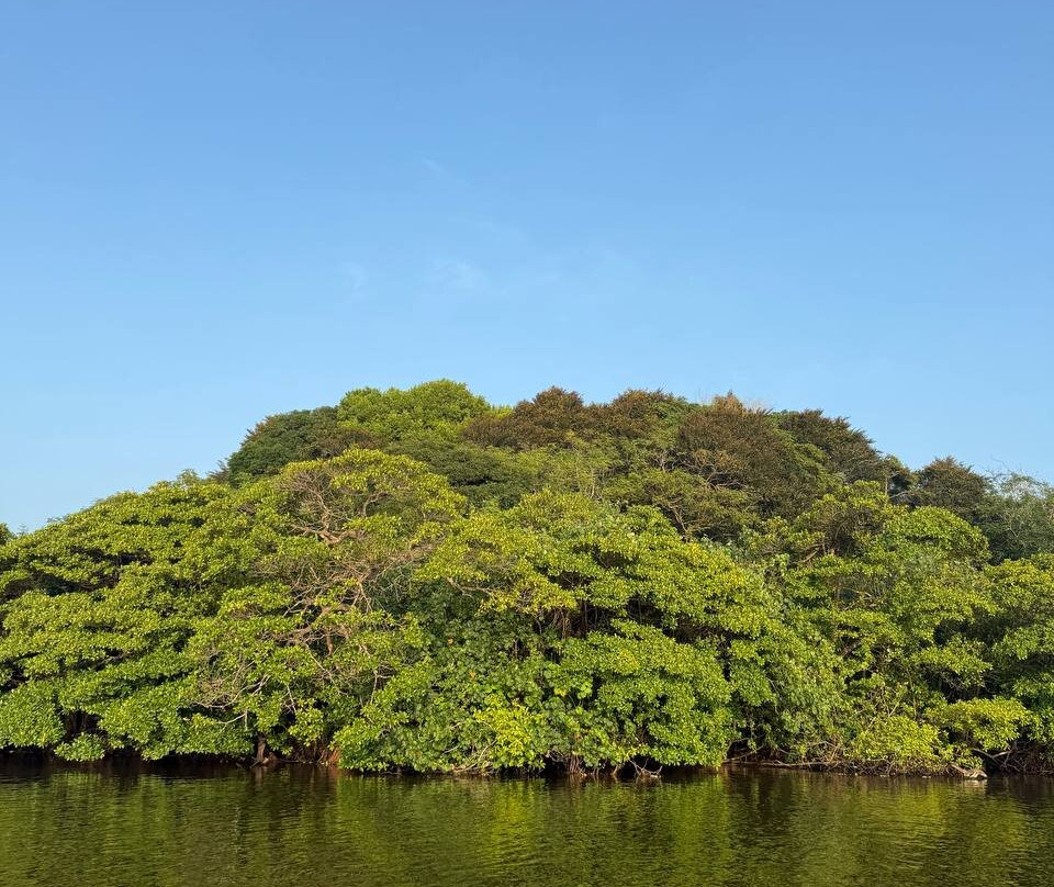 Chinuka Lagoon Safari景点图片