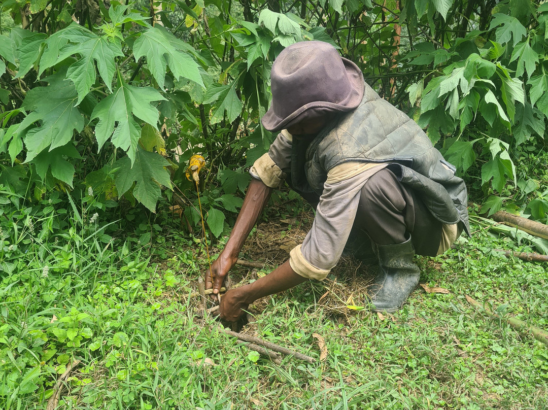 Gorilla & East Africa Safari-恩德培必去景点