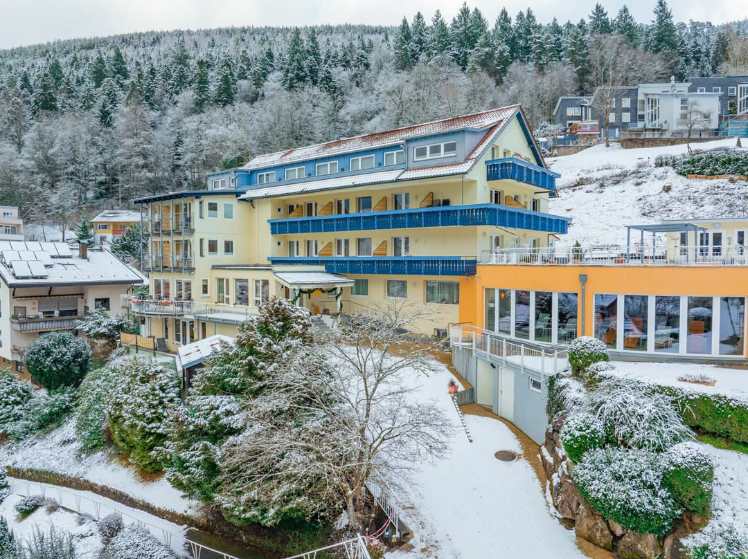 Wellnesshotel Rothfuss主图