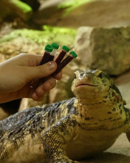 Padiparc - Parc Zoologique-Padirac必去景点