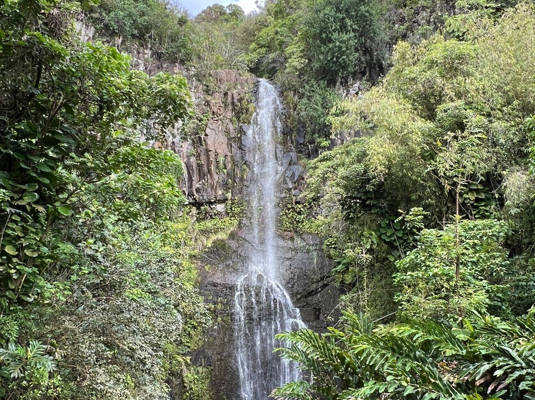 Wailua Falls景点图片