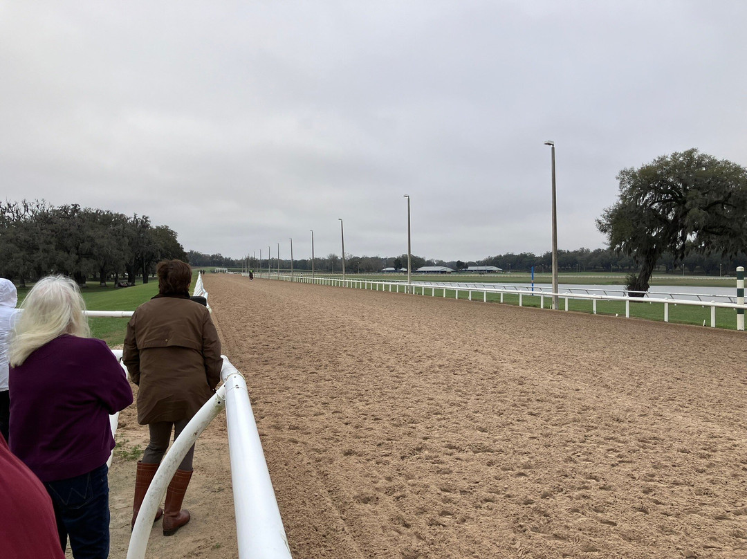 Farm Tours of Ocala-奥卡拉必去景点
